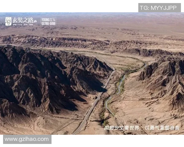 国际邀请赛特别报道:FPX战队重塑自我迎接新挑战的转型之路