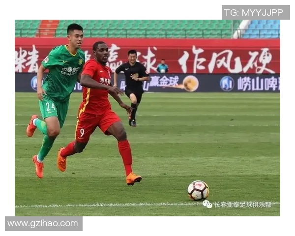 北京飞盘队速度表现分析与提升策略探讨