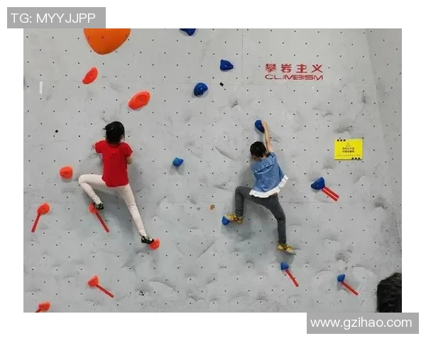 成都攀岩队耐力表现数据分析与训练策略探讨