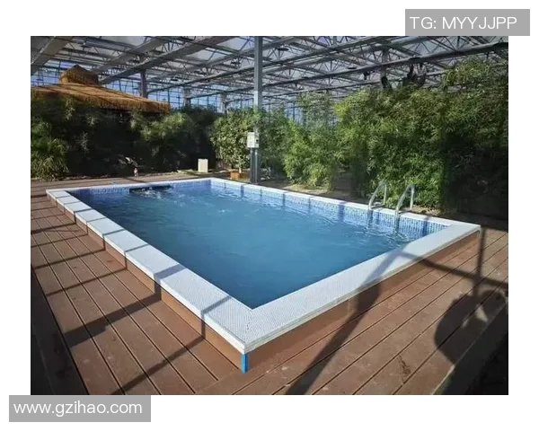 现代泳池设计理念与创新元素探索打造理想休闲娱乐空间